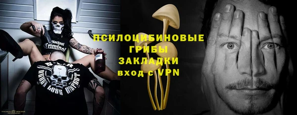 PSILOCYBIN Остров