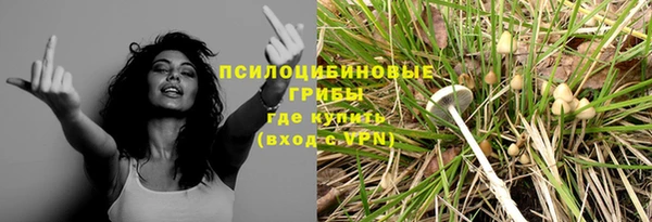марки nbome Пересвет